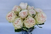 WEDDING ROSE